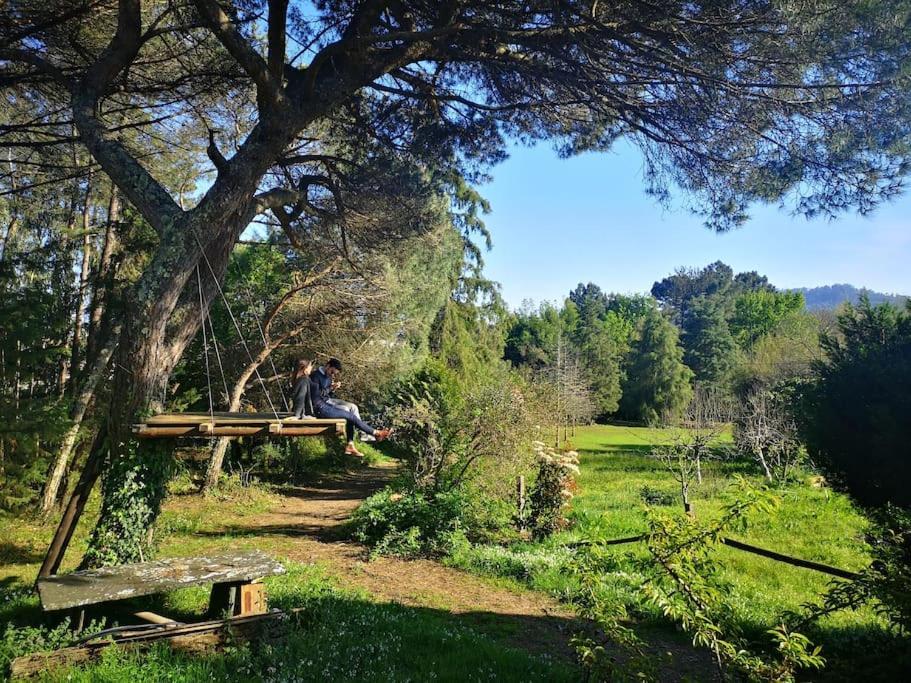 Pine Lodge - Direct Train To Porto 瓦隆古 外观 照片