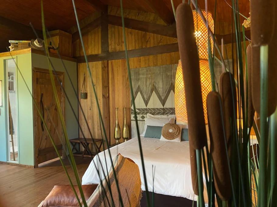 Pine Lodge - Direct Train To Porto 瓦隆古 外观 照片